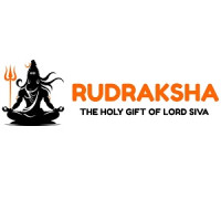 Mukhi Rudraksha