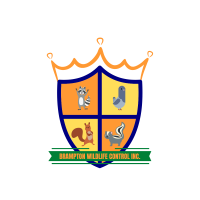 Brampton Wildlife Control Inc.