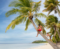 Fiji E-Visa Cost