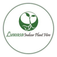 UTILISING MODERN & INNOVATIVE SERAMIS PLANTING SYSTEM