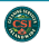 CSI Carpet Cleaners