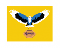 Best T Shirt Shop Online | Vabarik.com
