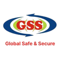 GLOBAL SAFE AND SECURE