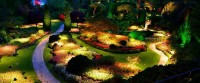 Landscape Lighting