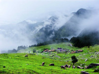 Into the Calm Heart of the Himalayas: A Journey Through Chopta