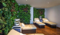 Elevated Relaxation at a luxury wellness resort