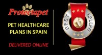 Plegasus Europe SL but we trade as Protectapet.
