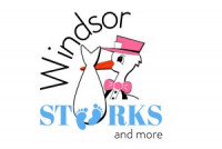 Windsor Storks and more