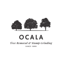 Ocala Tree Removal & Stump Grinding