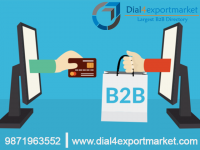 B2B Online Portal in Delhi