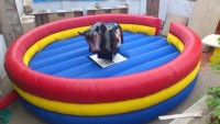 bcorporate event games provider in gurgaon