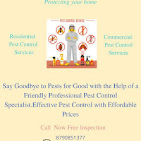 Mosquito Spray Services Near Me || Star Pest Control