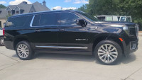 Lo Lo's Mobile Detailing
