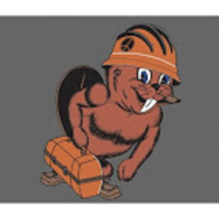 Hungry Beaver Tree Service