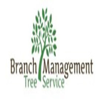 Branch Management Expert Tree Trimming