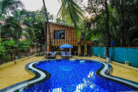 Coconut Beach Farm