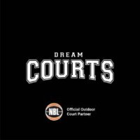 Basketball Court for Home