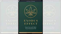 What is the Exodus Effect?
