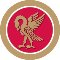 Top international schools near me
