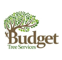Budget Tree Removal - Stump Grinding Brisbane