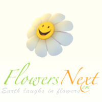 Flowernext