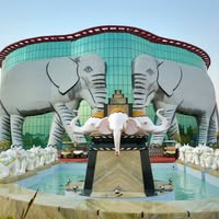 The MSG Resort, Sirsa