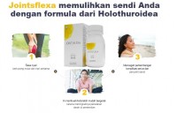 Jointsflexa