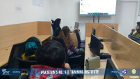 IELTS course in Islamabad