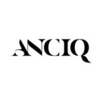 Anciq Wall Paintings Stylish Art for Modern Home Decor