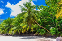 Applying for Seychelles Travel Authorization
