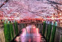 FROM JAPAN Online British Visa UK Online eVisa ETA Application Center British eVisa