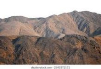 NEW ZEALAND New Zealand Visa Application Online | New Zealand Immigration - Official New Zealand Immigration Visa Application Form NZETA | Online Application Form