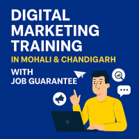 Digital marketing Traning in mohali & chandigarh with job guarantee