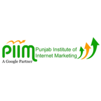 PIIM Website Designing Course in Patiala for Digital Growth