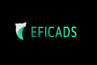 Creative Ecommerce Affiliate Marketing Agency | Eficads.com