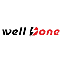 Welldone Power Transformer Manufacturer