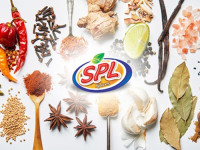 SPL Spices