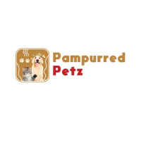 Food Bowl for Cats & Dogs