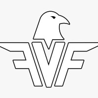 FindV Investigations