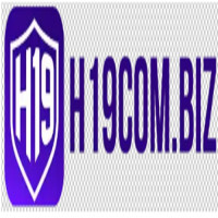 h19combiz