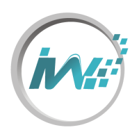 Top IT Staff Augmentation Company in India: Infowind