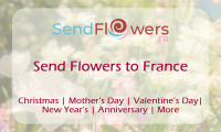 Indulge in the Finest Cakes France Has to Offer with SendFlowers.fr