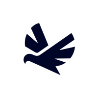 Storm Petrel