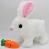 Hoppsy Bunny Robot – Combining Technology, Learning, and Fun