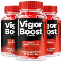 Vigor Boost Gummies: Your Daily Wellness Companion