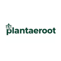 Plantaeroot – Kolkata’s Trusted Online Plant Nursery Bringing Nature to Your Home