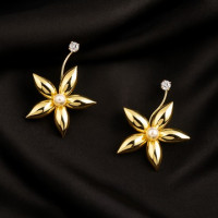 western earrings for women