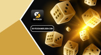 Skyexchange: All-in-One Platform for Safe and Seamless *****