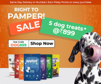 Pet Food | Buy Pet Food And Accessories At Best Prices