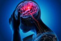 Neuro Rise Is It 100% Safe & Really work Supplement Hearing Work Relief Must Check Now!